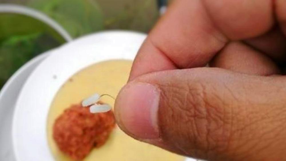 2种常见野钓饵料，朴素中带着神奇，出门钓鱼必带一种