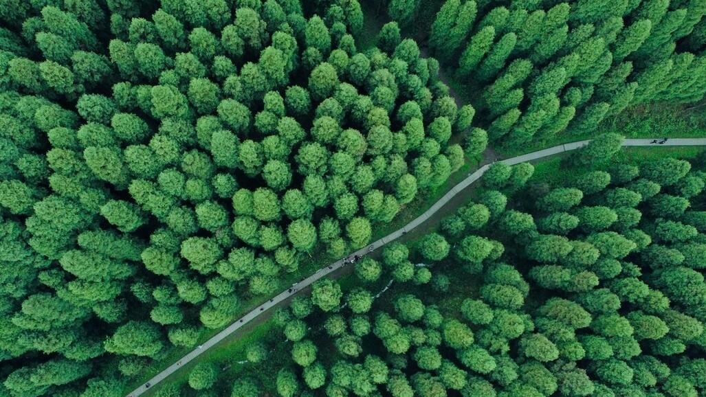 在地球上，交配时间最短的生物是什么？