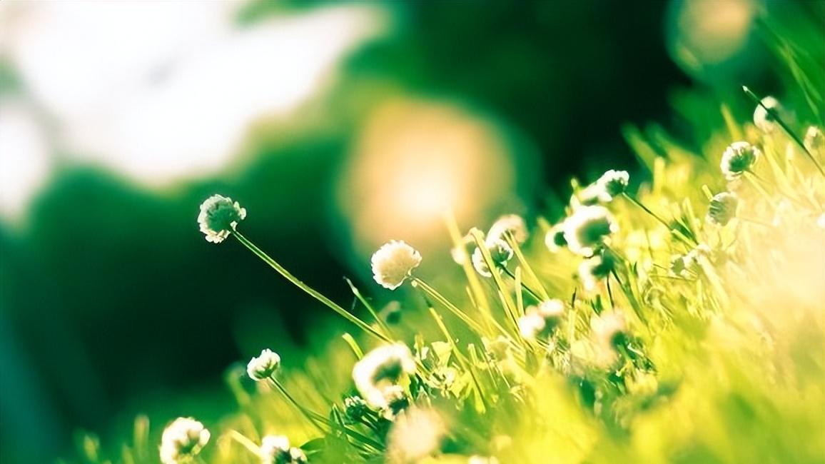 人到中年，有些话题，最好避而不谈