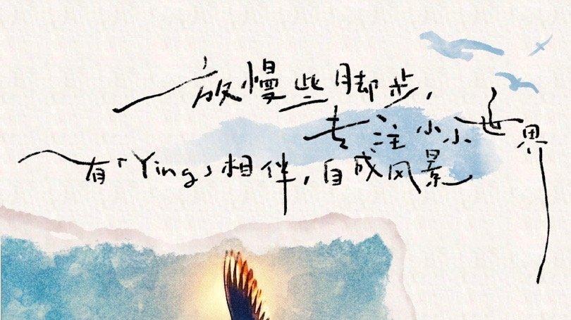 赵丽颖|赵丽颖分享九宫格美照，与海鸥互动被赞人美心善，又美又飒惹人爱