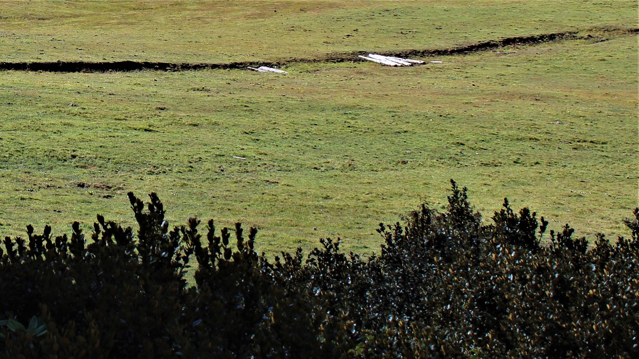 鸿博股份|又见职场巨婴？放下助人心态