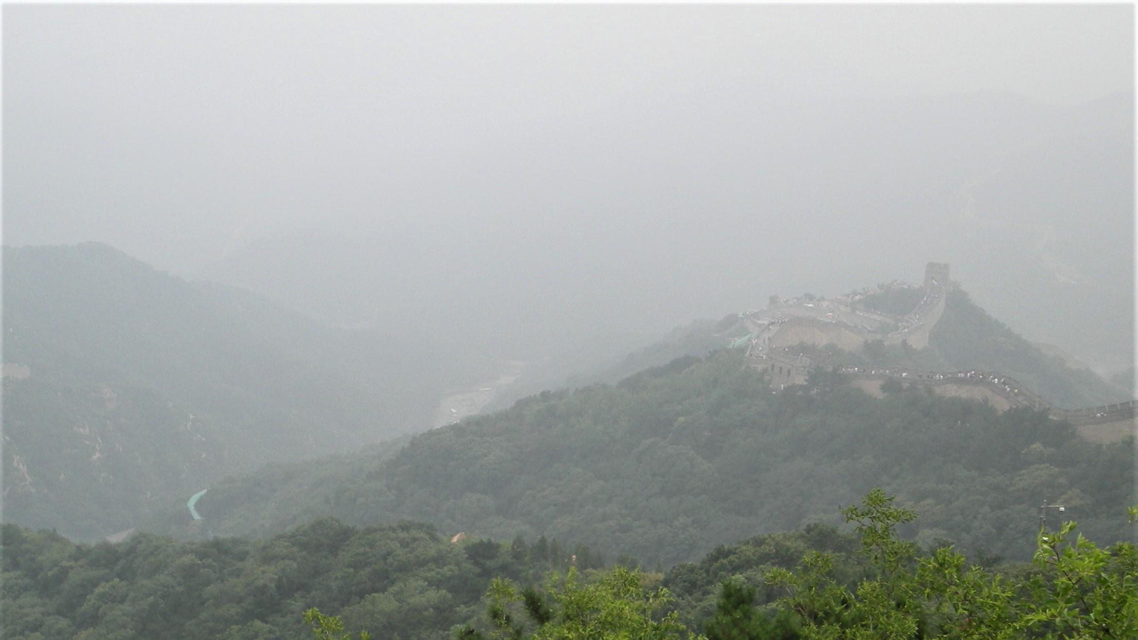 招聘|有些努力，本就无效