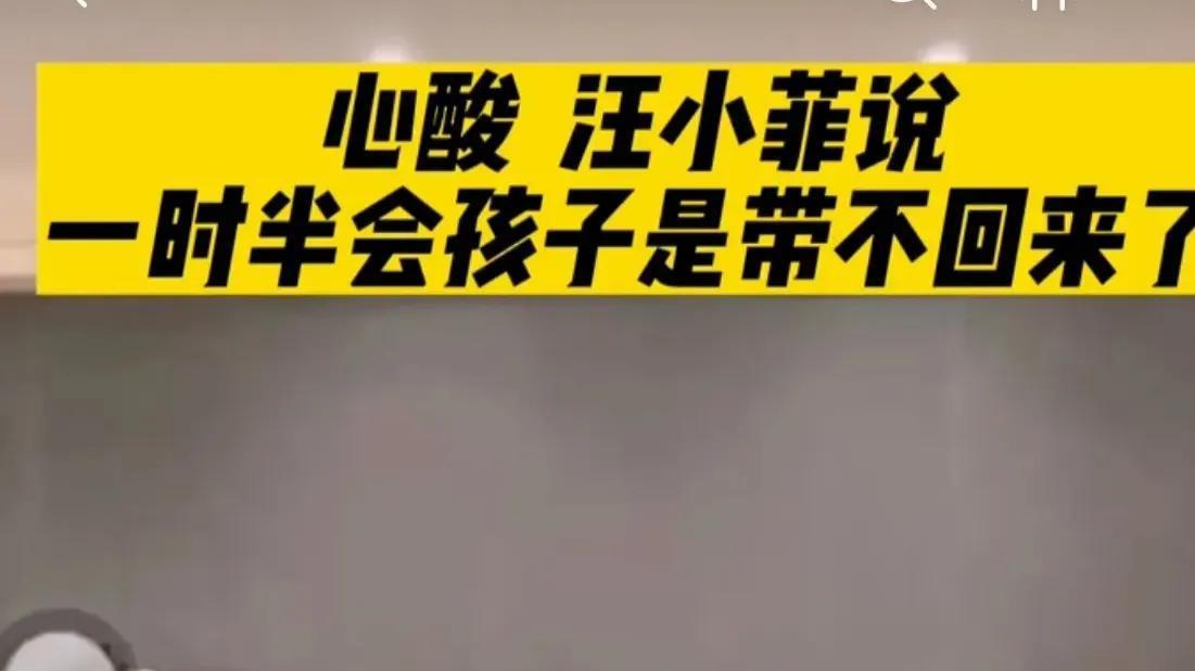 汪小菲|汪小菲疑似已放弃汪希玥汪希箖：暗示大S不会妥协