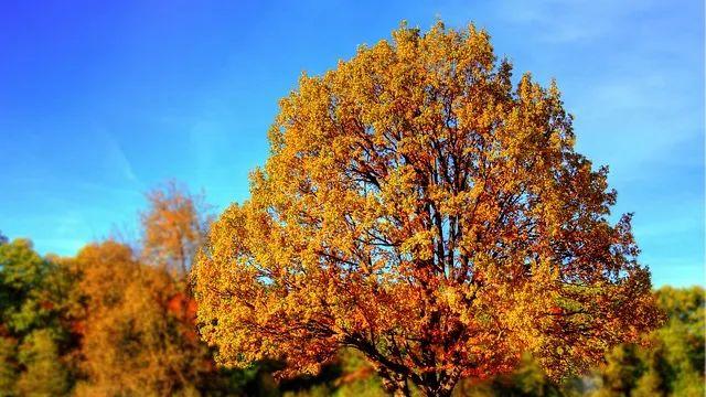 强大到“可怕”的人，身上往往有这4种特质