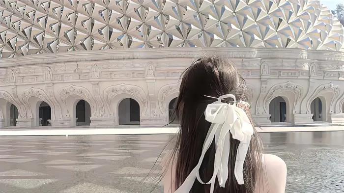 向上社交：职场贵人养成指南