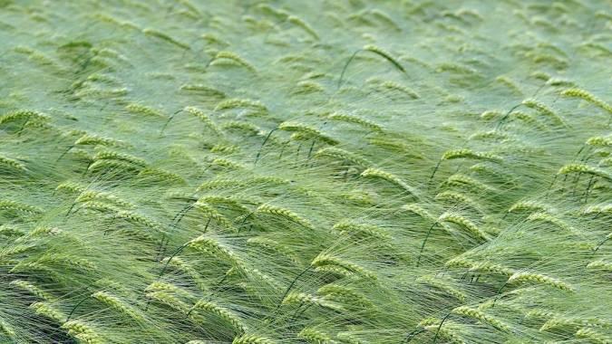 摄影|明明知道结果不太好，为何家电厂商今年还要拼命干？