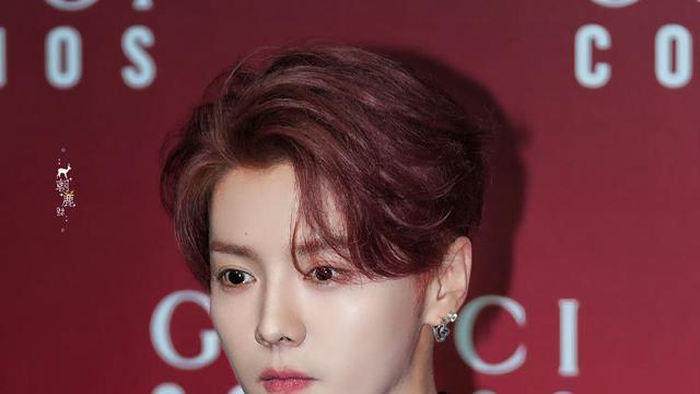 鹿晗演唱会精修诈骗？网曝现场生图差别巨大，粉丝吹重返20岁