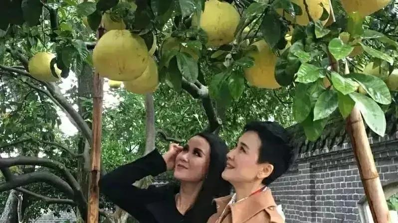 2020年，李小琳和女儿的合影，女儿时尚漂亮，母女二人如同姐妹