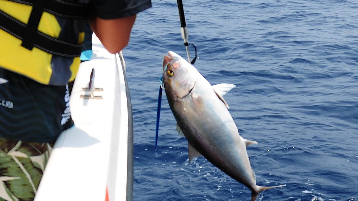 秋季海钓的5个要领，秋季海钓的必备知识