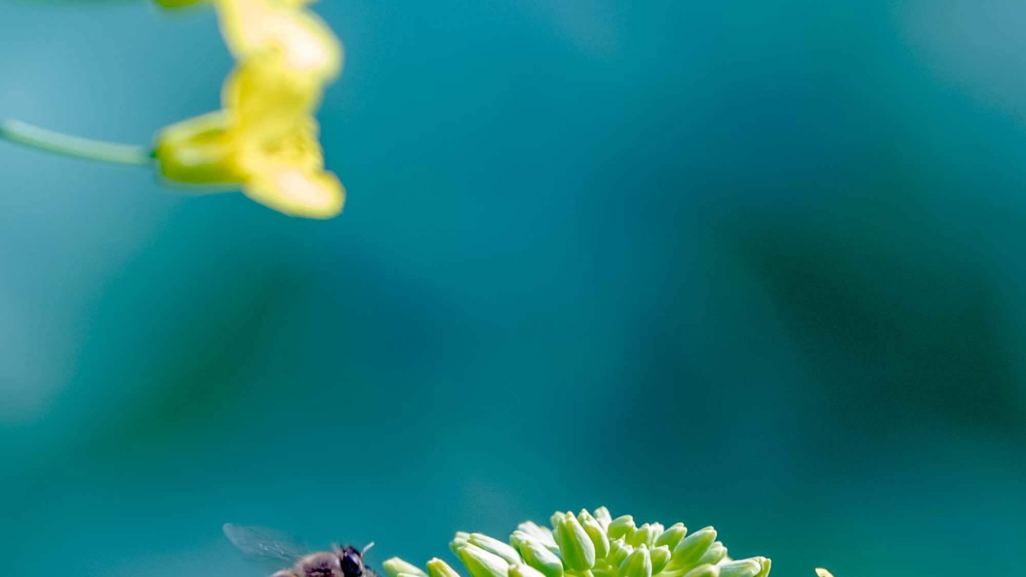 王艳|张雪峰的道歉，王艳的无欲无求，掀开了谁的伤疤，刺痛了谁的心