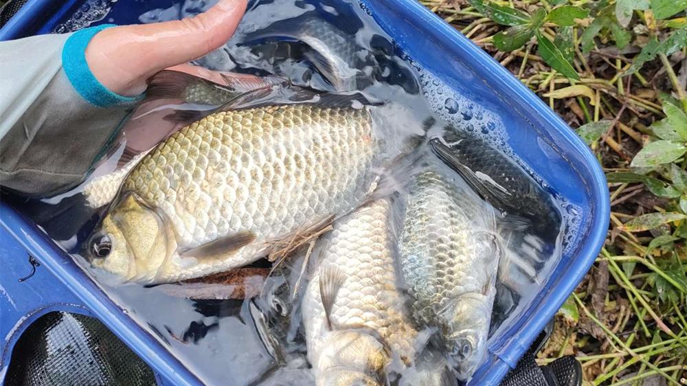 |记住2个调漂公式，调漂不必纠结方法，快速又精准