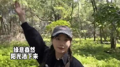 森林公园|中国三十岁女子买下日本小岛，内行直摇头：后续成本上天