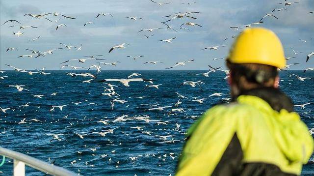 女孩|为何到处都是招聘海员，海员的工资有多高？为何很少人愿意去？