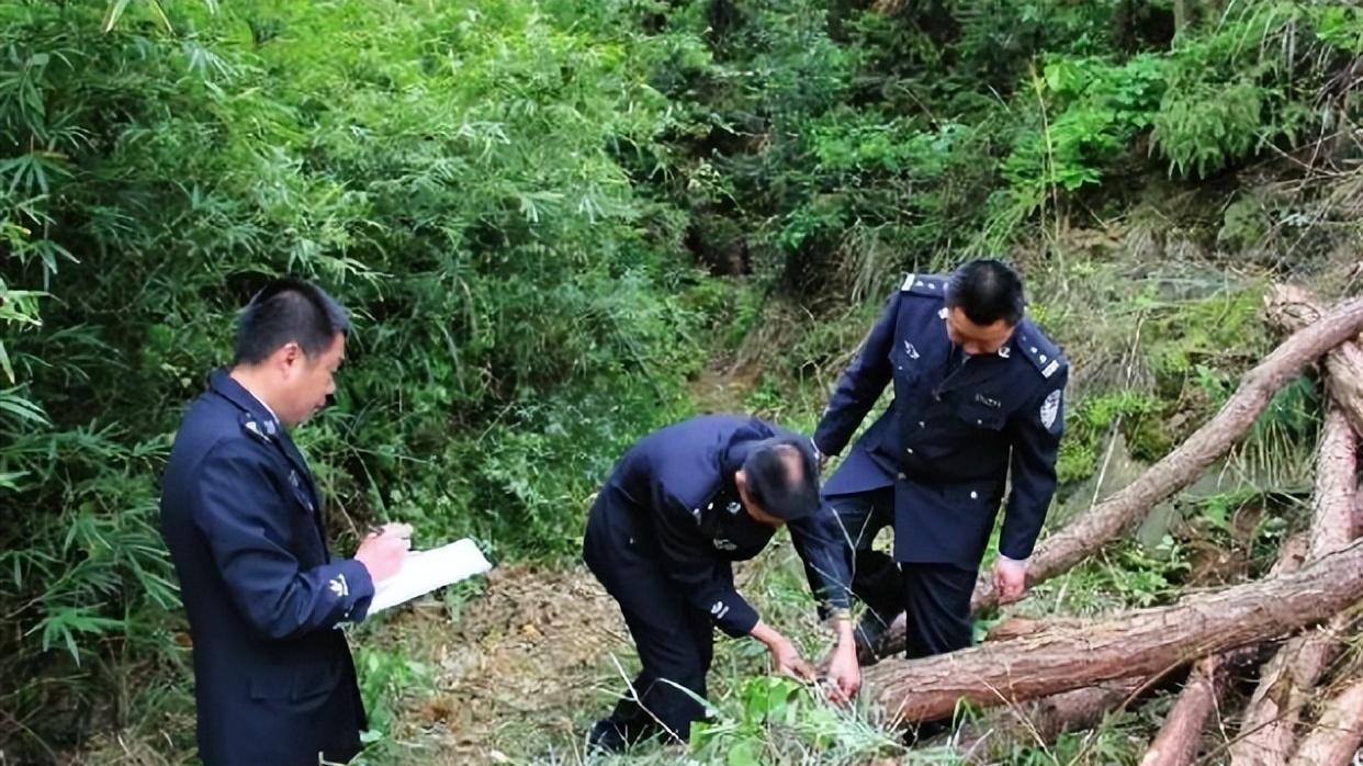 2020年，潜逃犯落网，在山上当了十几年野人，出门打工不敢领工资