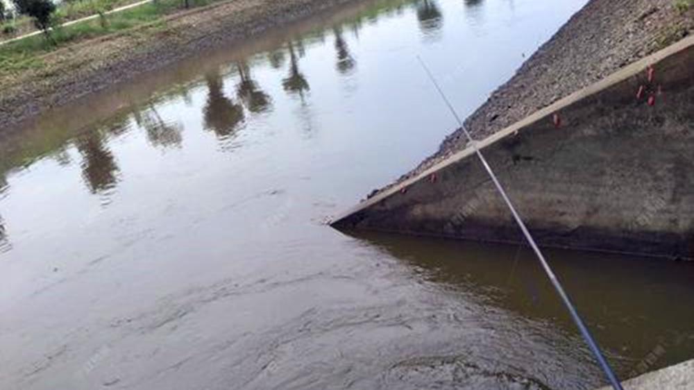 饵料|夏季野钓，用这2种万能钓法，通杀大小水面