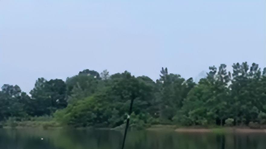 |邓刚直播万人围观钓鲢鳙，千4爆竿惹争议！不是翻车而是钓鱼常态