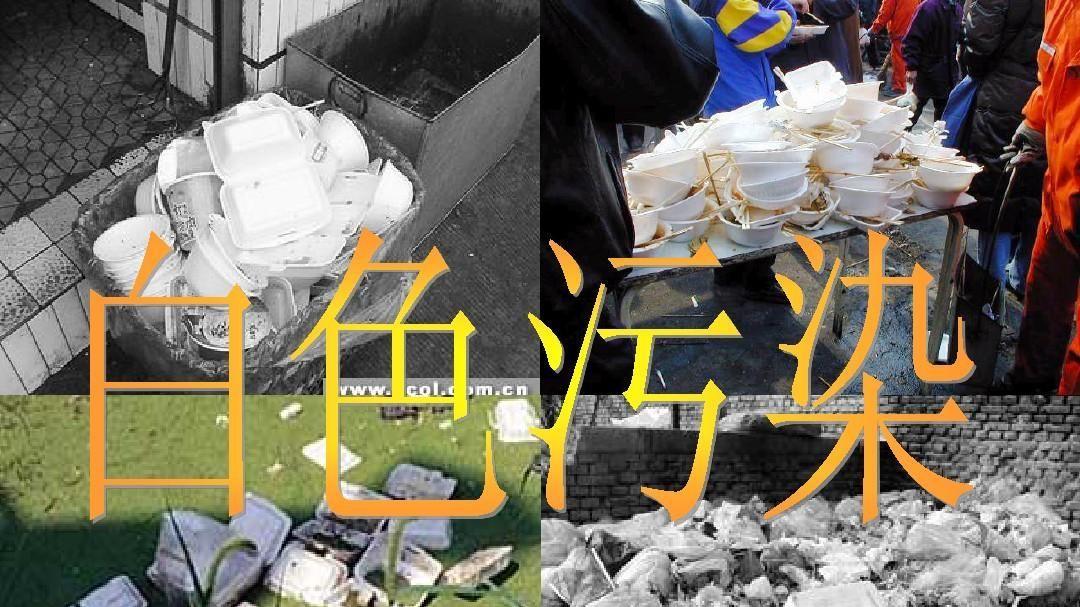 那些能够“吃塑料”的昆虫，能否帮助人类解决污染问题？