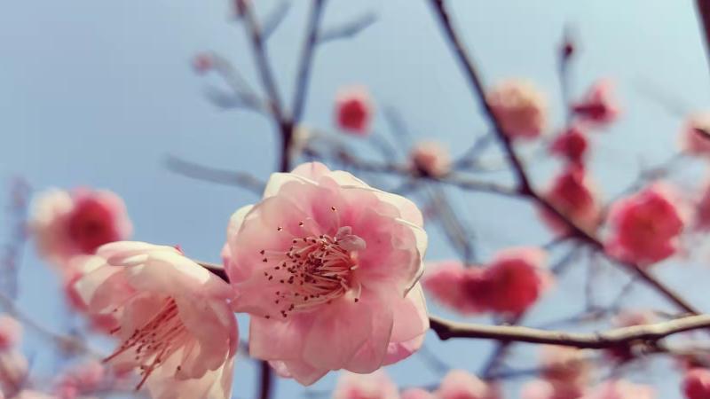 运势|2023年，关于你职业发展的10个趋势和5个走心建议