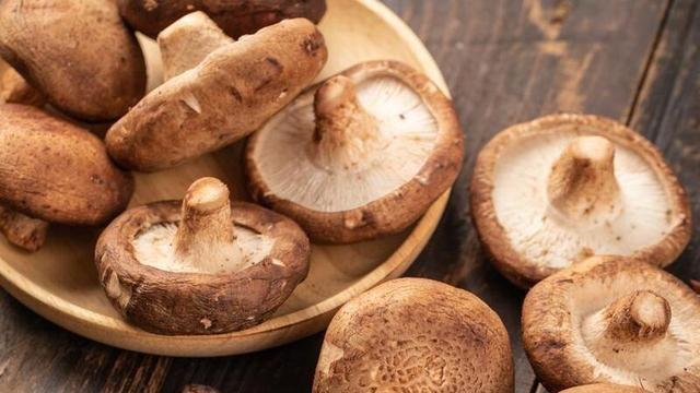 香菇|悲惨的香菇！养棚里的，是被打大的！长野外的，是被吓大的