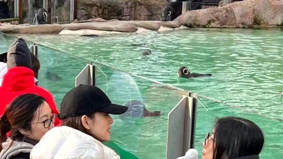 章泽天带双胞胎儿子出游，网友猜测龙凤胎长相，现场照片曝光！