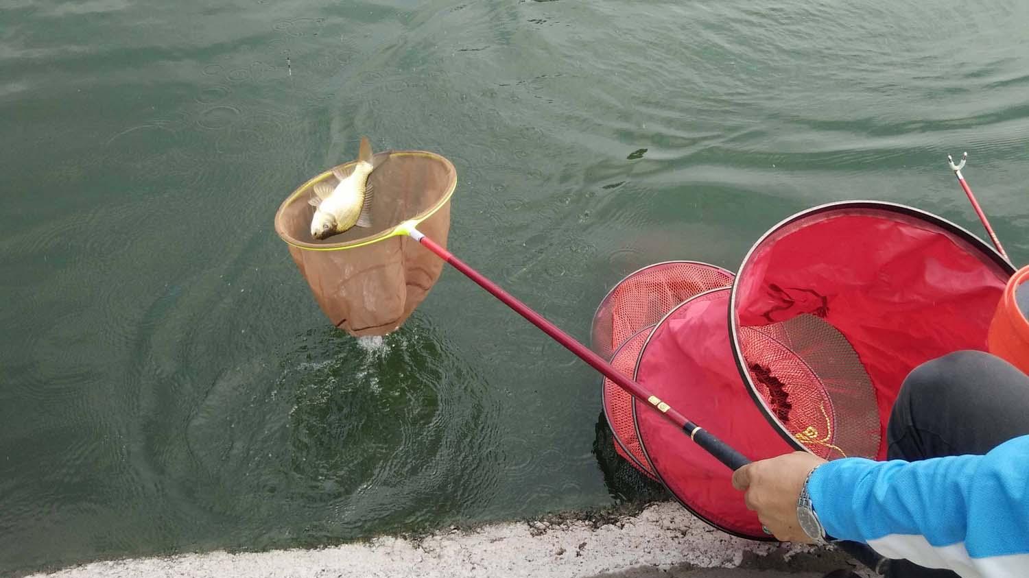 |冬季钓鱼，温度是影响鱼口的主要因素，除此之外，还有哪些因素？