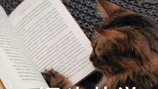 |砖家指责年轻人不生小孩不对，年轻人建议砖家少操闲心