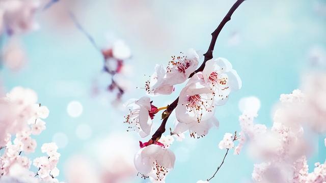 |职场上，少跟三种人打交道