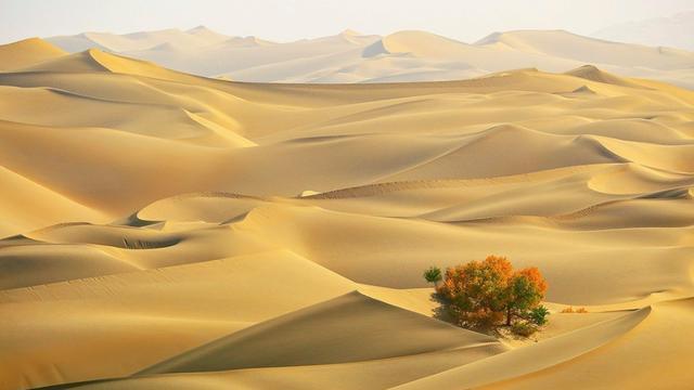 草原|我国能否消灭塔克拉玛干，让沙漠变草原？若真实现了是好是坏？