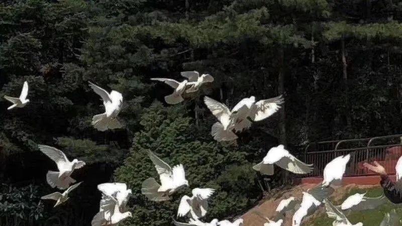 银行|大学毕业以后，我只能去当服务员