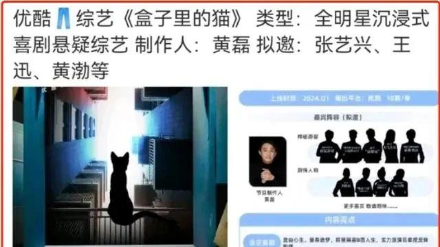 极限男人帮强势回归！新综艺《盒子里的猫》立项，黄磊担任制作人