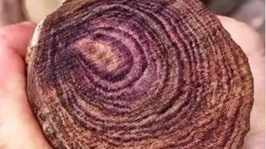 |海南黄花梨的新料，干料与老料，如何区分？