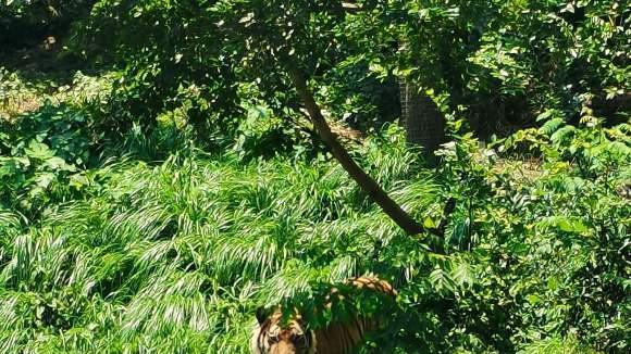 |钓瘾如何戒？其实挺简单