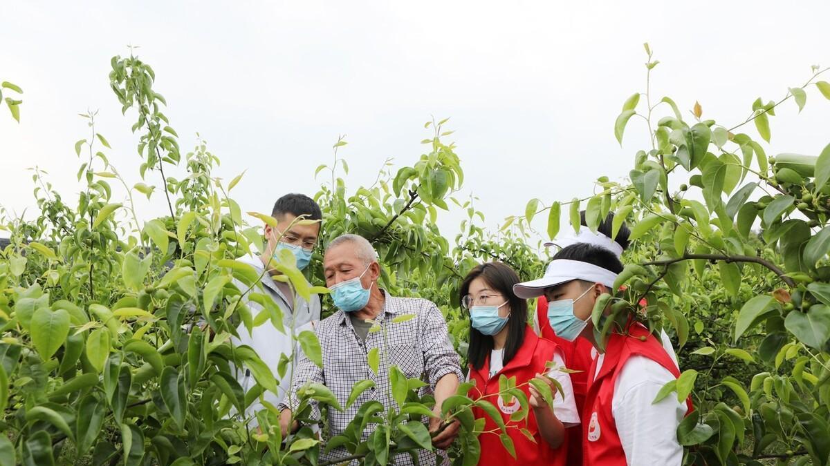 三支一扶|三支一扶门槛低，服务期满可转编，应届生重点关注