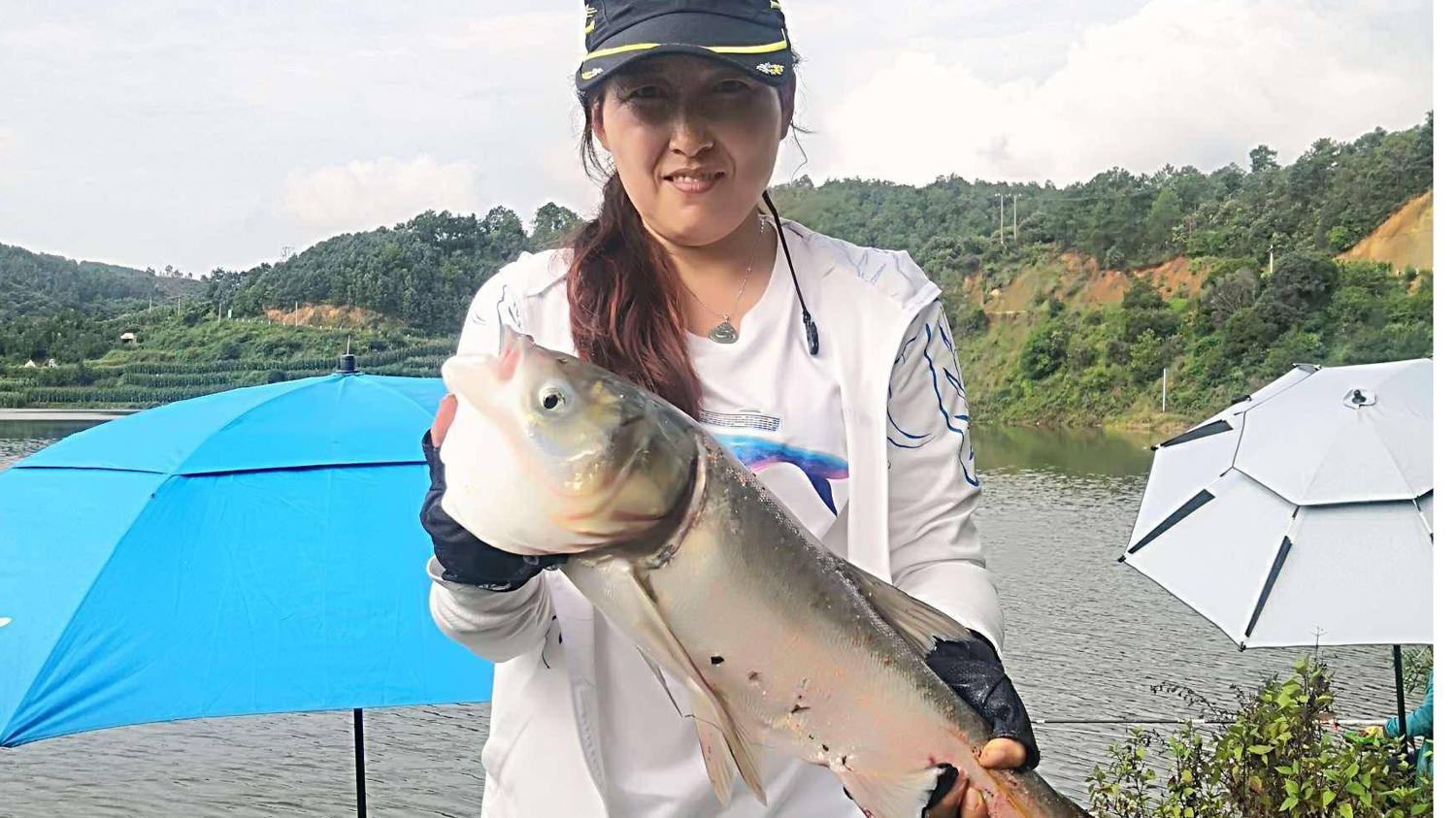 鲢鳙|钓鲢鳙的5个要诀，想要钓得多，这5个方面很关键