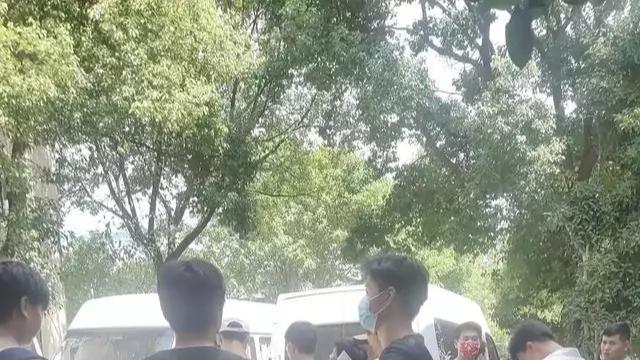 求职|今年是咋回事找工作这么难