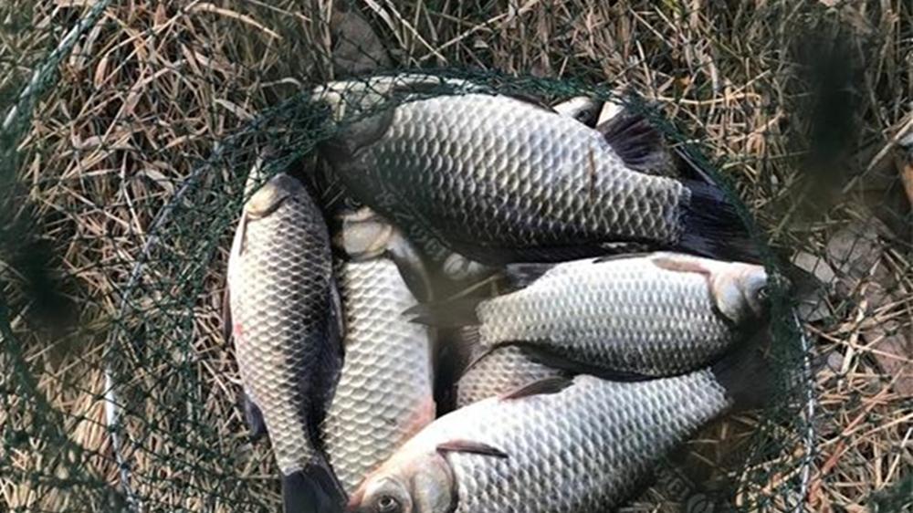 寒冬鲫鱼藏得深，找这4种深水窝点，大鲫鱼一钓一个准