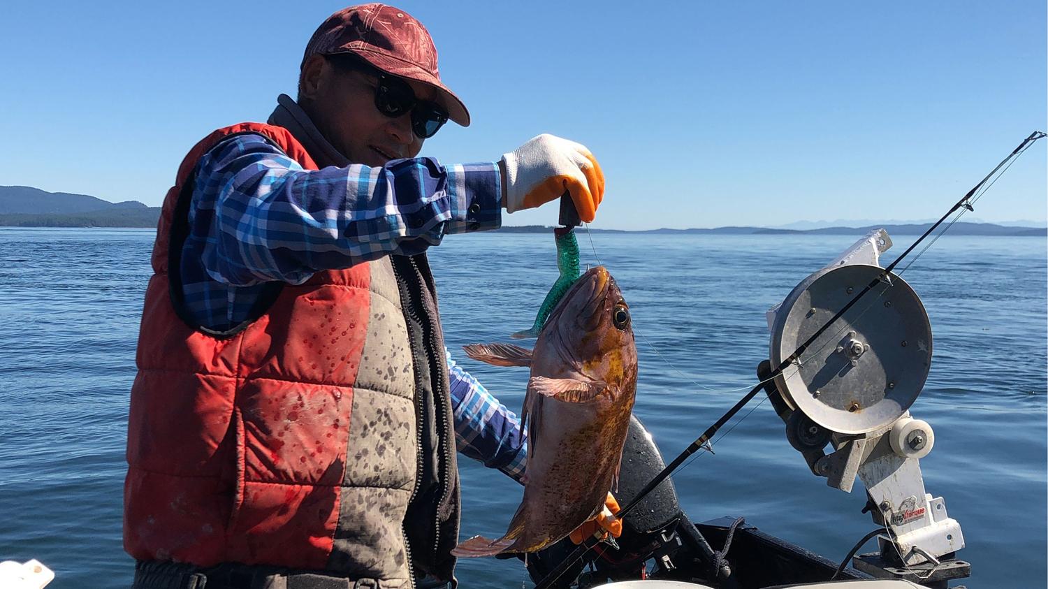 龙趸鱼怎么钓？用哪种鱼饵？龙趸鱼的生活习性和垂钓技巧