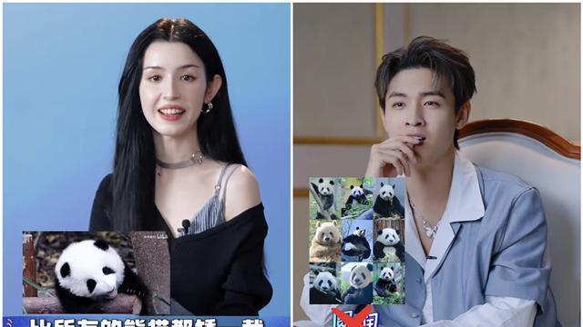 李玟|孟鹤堂做客秦霄贤综艺，接受节目组专访，网友：孟哥对熊猫真了解