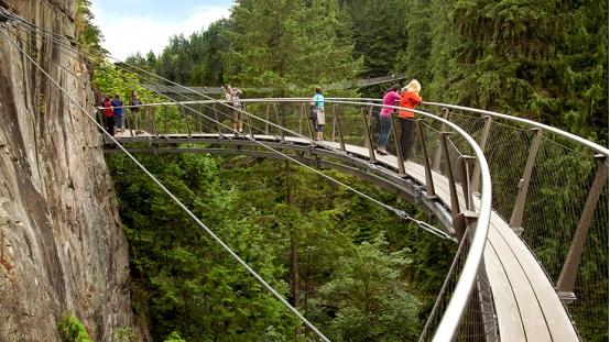 自驾|挑战极限！森林上空70米处，穿越世界最梦幻长桥！