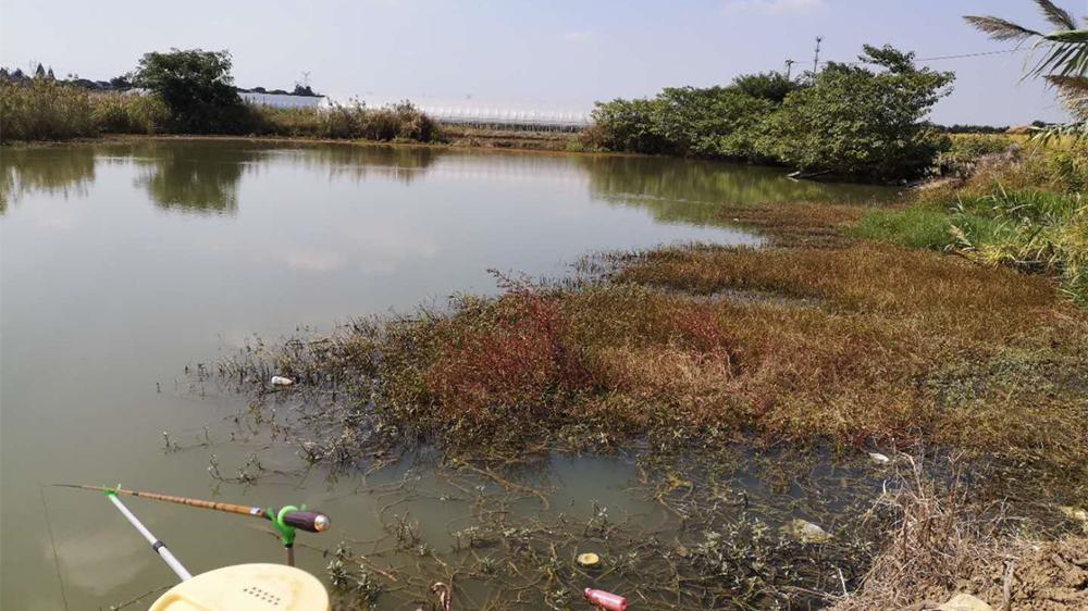 |春季野钓，爆护位置变化有规律，找准鱼窝收获更稳妥