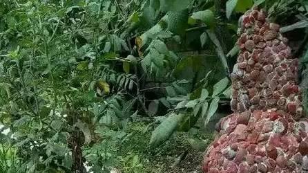 用玉石翡翠砌墙，价值不可估量啊！