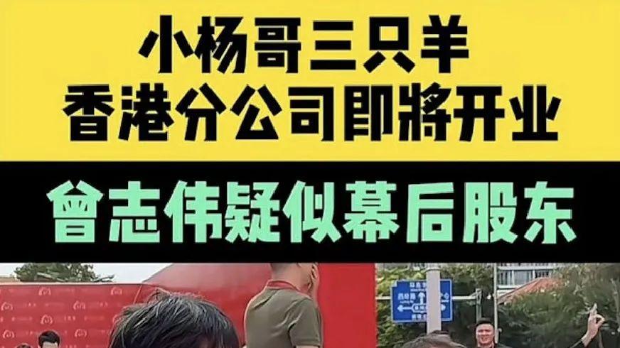 71岁曾志伟被曝入股“疯狂小杨哥”公司，香港网友：又割一波韭菜