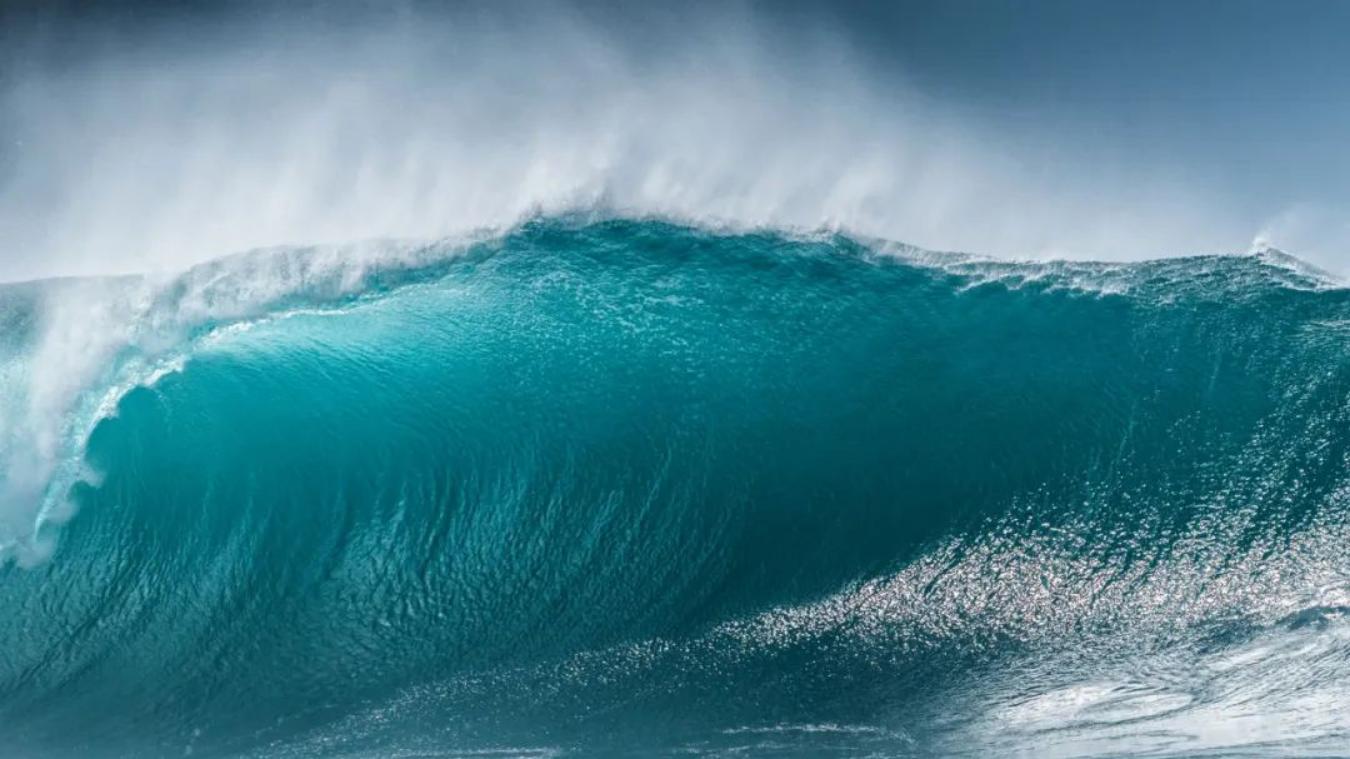 7月5日起，厚积薄发，魅力四射，贵人扶持，事业走红的4个生肖