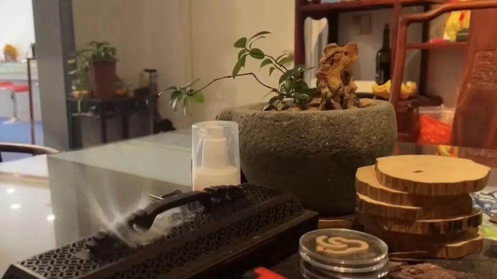 凭什么从古到今沉香一直那么贵？一片万钱