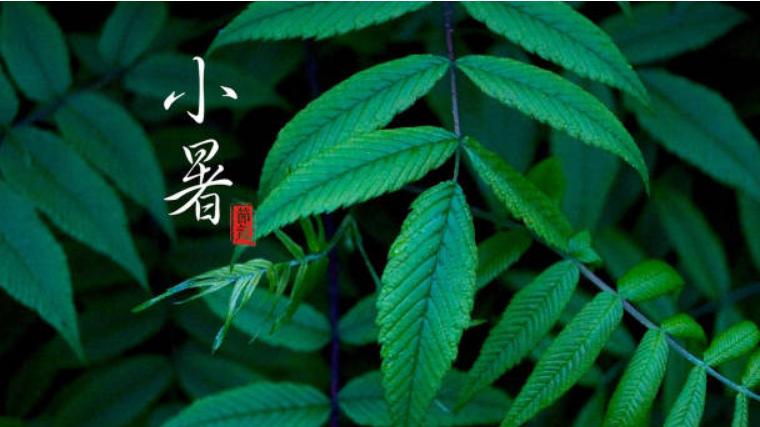 明日小暑，老传统要吃“暑期三宝”，助您轻松入伏，全家顺利度夏！