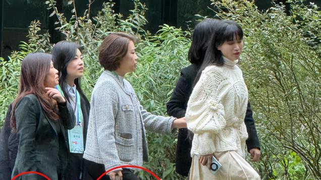 李子柒生图曝光！失去美颜脸肿鼻大，穿着蜀锦却被香奈儿记者抢镜