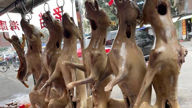 香肉滚一滚神仙站不稳，秋天进补吃狗肉？哪里吃狗最多你知道吗