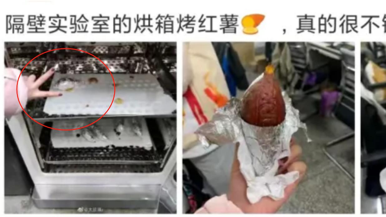 女生做美甲、在实验室烤红薯，把规则当儿戏，网友：你也配读研？