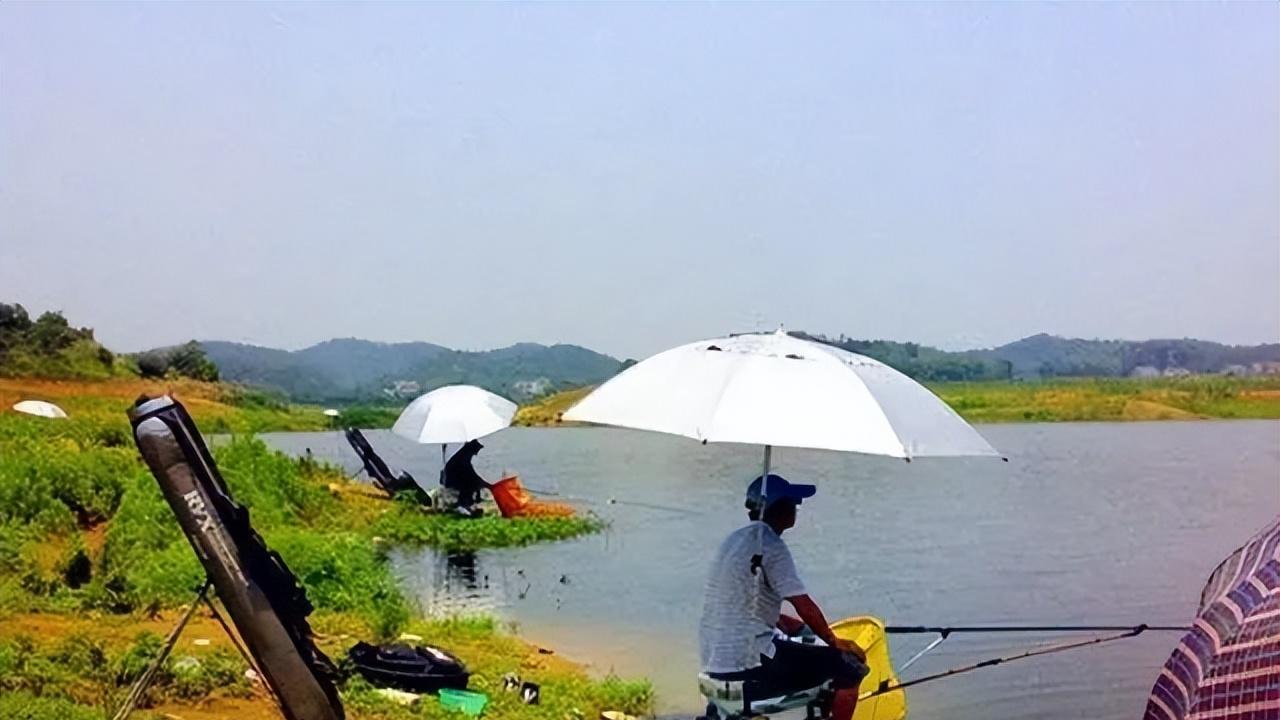 台钓的装备为何如此之多？探究钓鱼为何成为运动及装备的演变