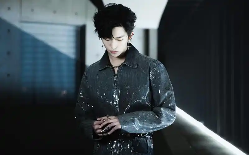 《声生不息港乐季2》确认阵容：12位常驻4飞行，李宇春周笔畅同台